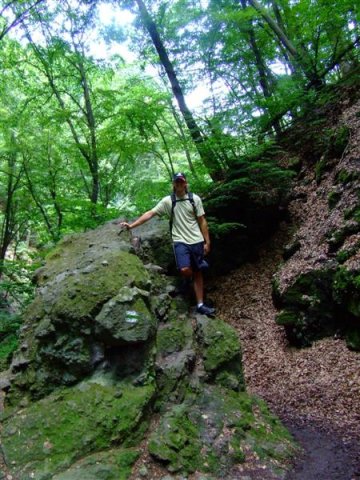 DSCF0116 (Medium)